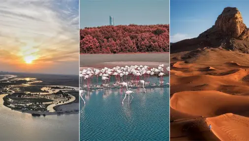 Why Are the United Arab Emirates One of the Safest Places in the World?